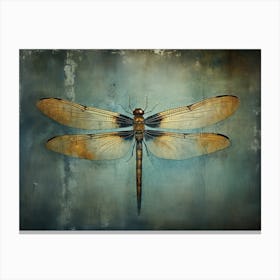 Dragonfly 13 Canvas Print