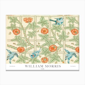 William Morris Prints Birds Trellis Original Landscapes Landscape Botanical Vintage Canvas Print