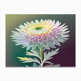 Chrysanthemum 13 Canvas Print