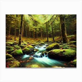 Stream In The Forest 1 Canvas Print