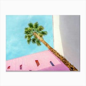 Saguaro Palm Springs Palm Tree with Pink and White Walls Canvas Print