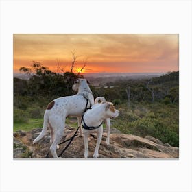 Sunset Chasers Canvas Print