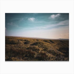 Dartmoor field Canvas Print