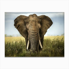 Elephant In The Grass 1 Canvas Print