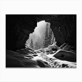 Monochrome Photograph Capturing The Stark Contrast Between Hyper White Textures Such As Freshly Fal Canvas Print