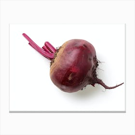 Beetroot isolated on white background. 2 Canvas Print