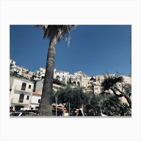 Palm Tree In Front Of Buildings Canvas Print