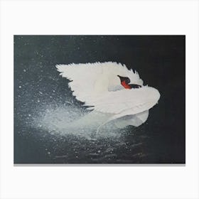 Night Swan Canvas Print