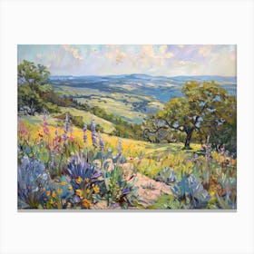 Western Landscapes Texas Hill Country 3 Canvas Print