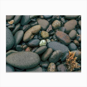 Sea Stones Canvas Print