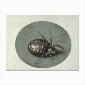 Black Spider 1 Canvas Print