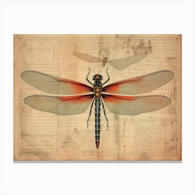 Dragonfly Vintage Newspaper 2 Canvas Print
