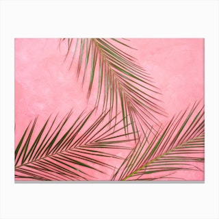 Summer Palm Leaves In Pink Wall Canvas Print
