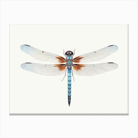 Dragonfly Blue Eyed Darner Aeshna Illustration Minimal 2 Canvas Print