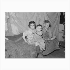 Three Of The Harshenberger I,E, Harshbarger Children Sheridan County, Montana By Russell Lee Canvas Print