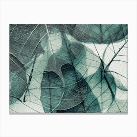 Olive Green Leaves Canvas Print