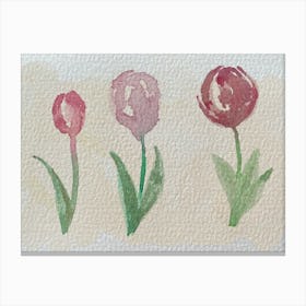 Watercolor Tulips Canvas Print