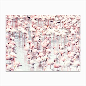Flock of Flamingos Canvas Print