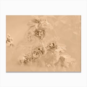 Roses In Sepia Canvas Print