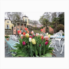 Tulips In The Garden Portmeirion beautiful  Canvas Print