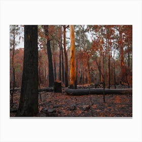 Forest Fires Canvas Print