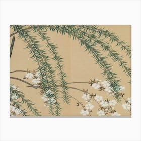 Japanese Cherry Blossoms 1 Canvas Print