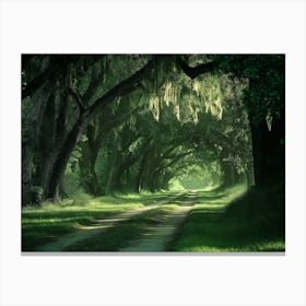 Charleston SC Edisto Island - Botany Bay Road Canvas Print