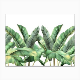 Tropical Seamless Border With Beautiful Palm Banana Leaves Canvas Print