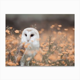 Barn Owl In Flower Field Canvas Print