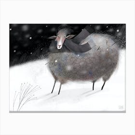 Winter sheep Canvas Print