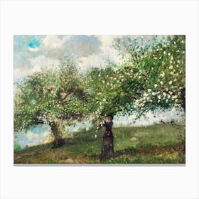 Girl Picking Apple Blossoms, Winslow Homer Canvas Print
