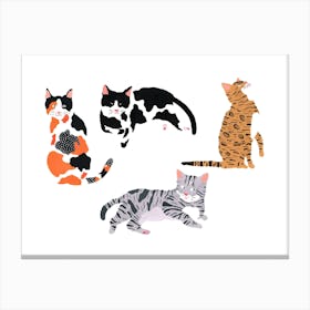 Here Here Kitties Canvas Print