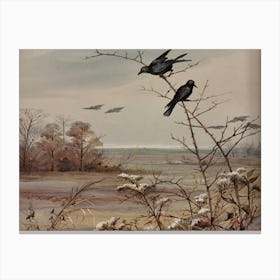 Crows On A Branch 1 Canvas Print