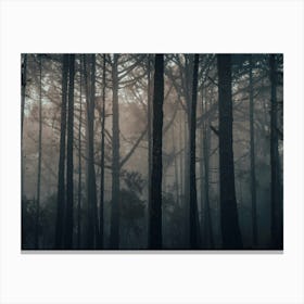 Dark Forest Canvas Print