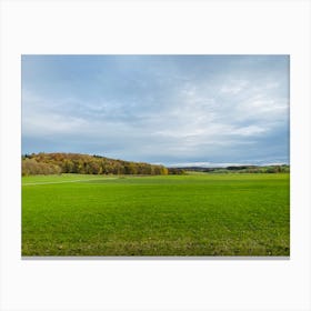 Field With Trees 13 Canvas Print