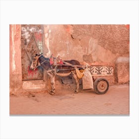 Moroccan Donkey Landscape New Canvas Print