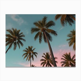 Leonardo Lightning Xl A Serene And Aesthetic View Of Tall Palm 0 Canvas Print