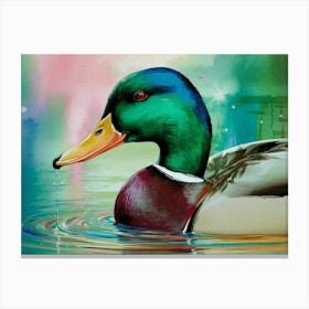 Duck In Water Canvas Print