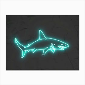 Neon Aqua Wobbegong Shark 7 Canvas Print