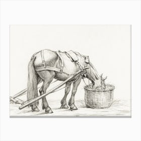 Horse Eating From A Basket, Jean Bernard Canvas Print