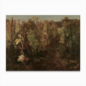 'The Vineyard' Canvas Print