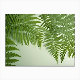 A Green Background With Multiple Fern Leaves Arranged In A Corner, Creating A Lush And Natural Frame Canvas Print