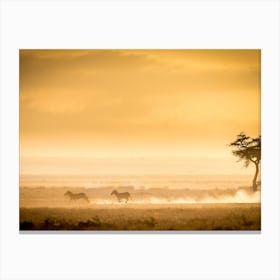 Training Because The Lions Await Canvas Print