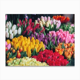 Flower Shop Tulips Canvas Print