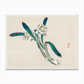 Bunchflower Daffodil, Kōno Bairei Canvas Print