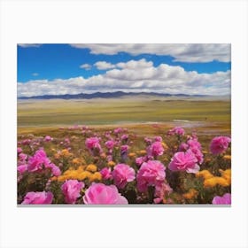 Pink Flowers In Tibet Canvas Print