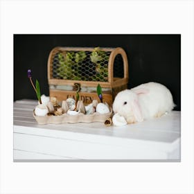 Easter Bunny 13 Canvas Print