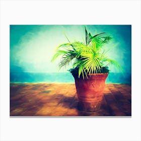 Potted Plant On A Cuban Terrace Canvas Print