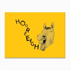 Hooray Horse Canvas Print