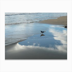 Bird and reflections on the sandy beach Canvas Print